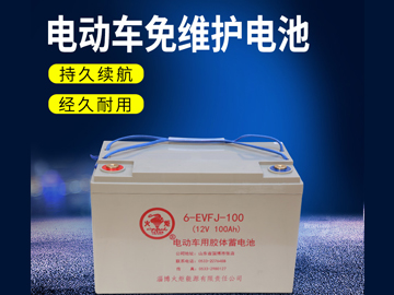 電動(dòng)車免維護(hù)電池